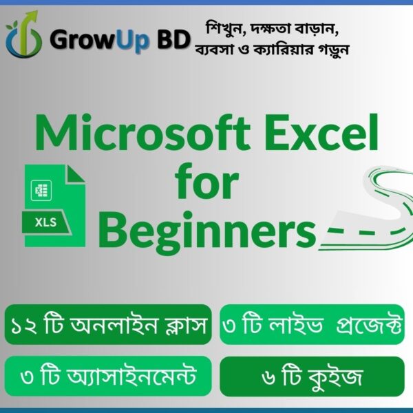 Microsoft Excel for Beginners