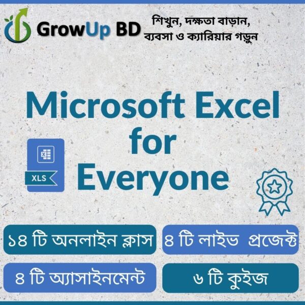 Microsoft Excel for Everyone