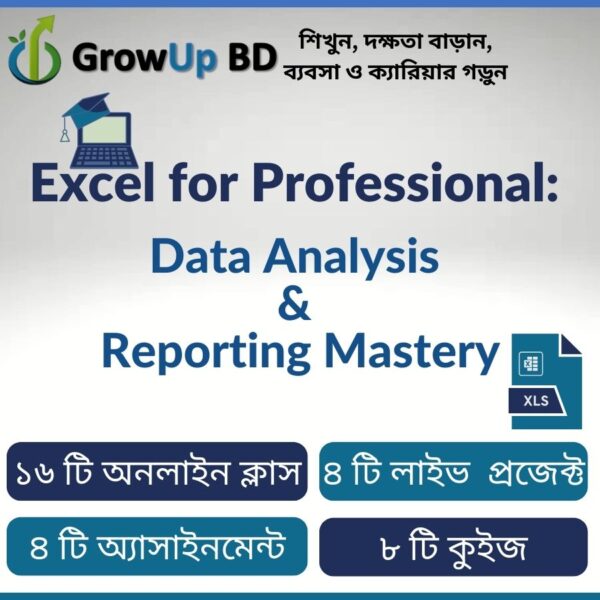 Excel for Professional: Data Analysis & Reporting Mastery