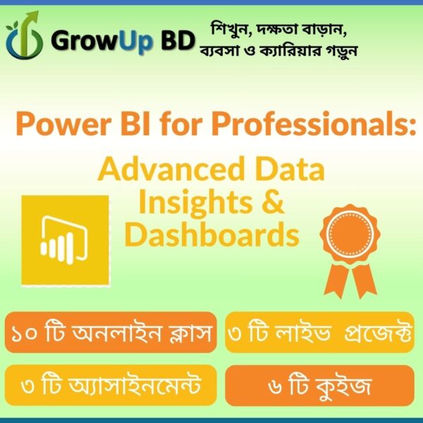 Power BI for Professionals: Advanced Data Insights & Dashboards